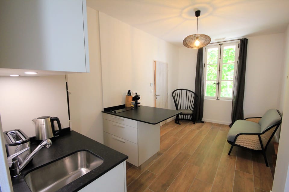 Premium Studio Suite, 1 King Bed | Living area