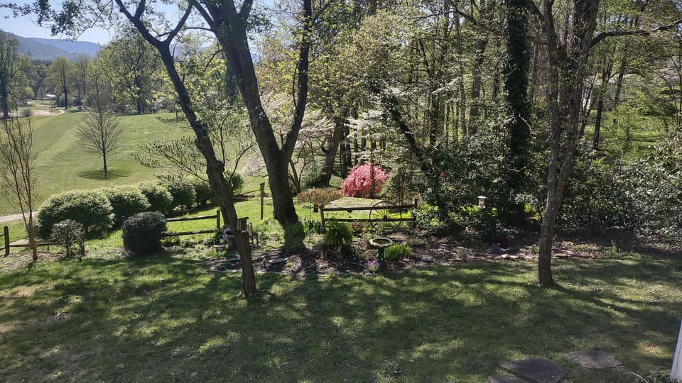 beautiful spring garden with birds and flowers blooming 