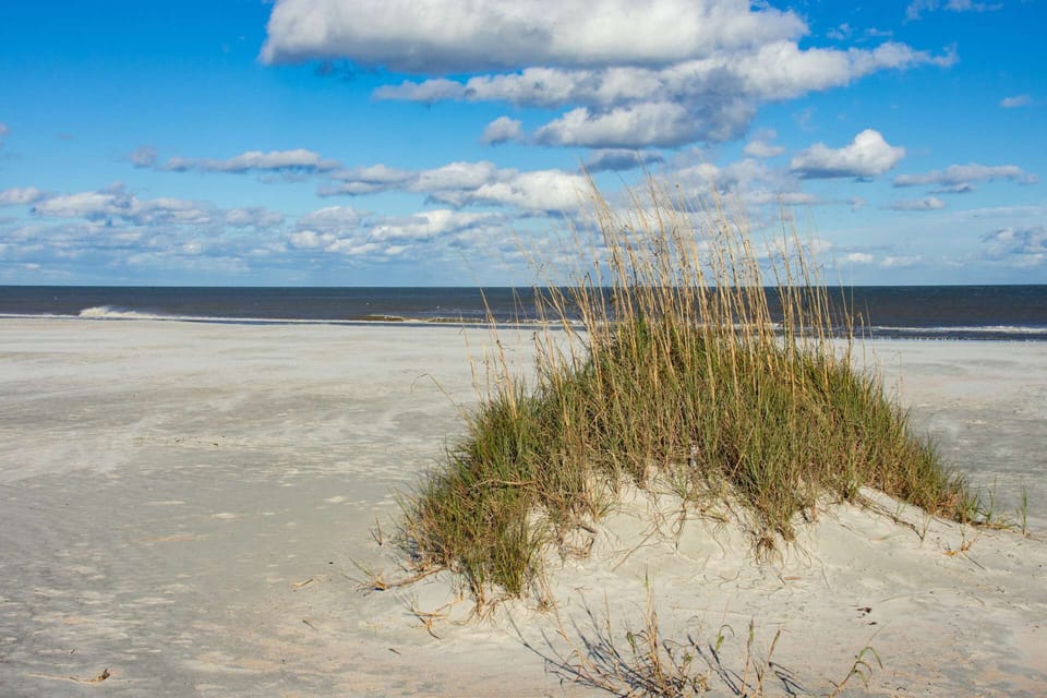 Surf Perch - 10th St House in Saint Augustine Beach