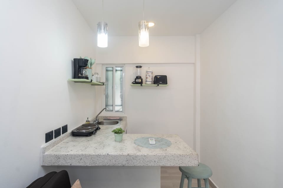 Comfort Studio | Private kitchen | Mini-fridge, toaster, blender, griddle