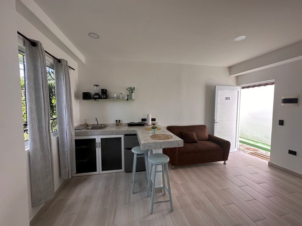 Comfort Studio | Private kitchen | Mini-fridge, toaster, blender, griddle