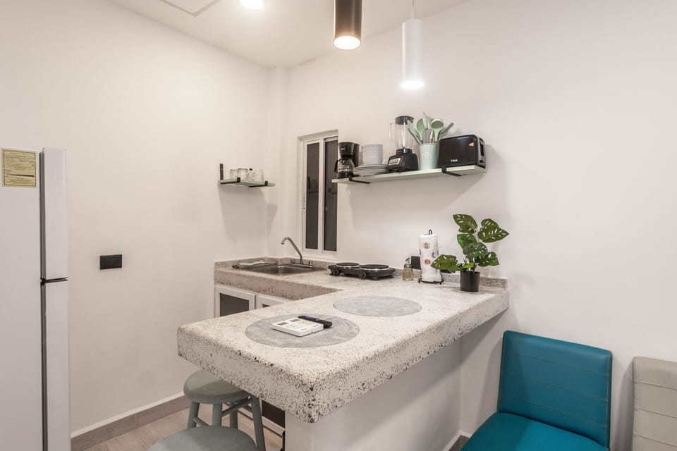 Deluxe Double Room | Private kitchen | Mini-fridge, toaster, blender, griddle