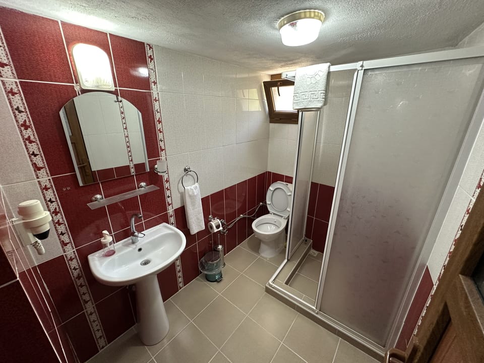 Classic Room | Bathroom | Shower, hair dryer, towels, soap