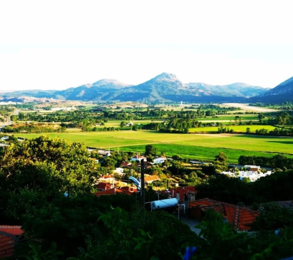 Mountain view