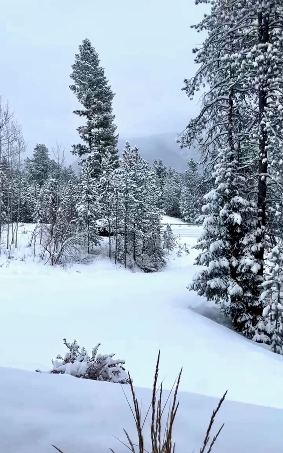 Enjoy a Winter wonderland from our condos in Coram- Stay here all year round!