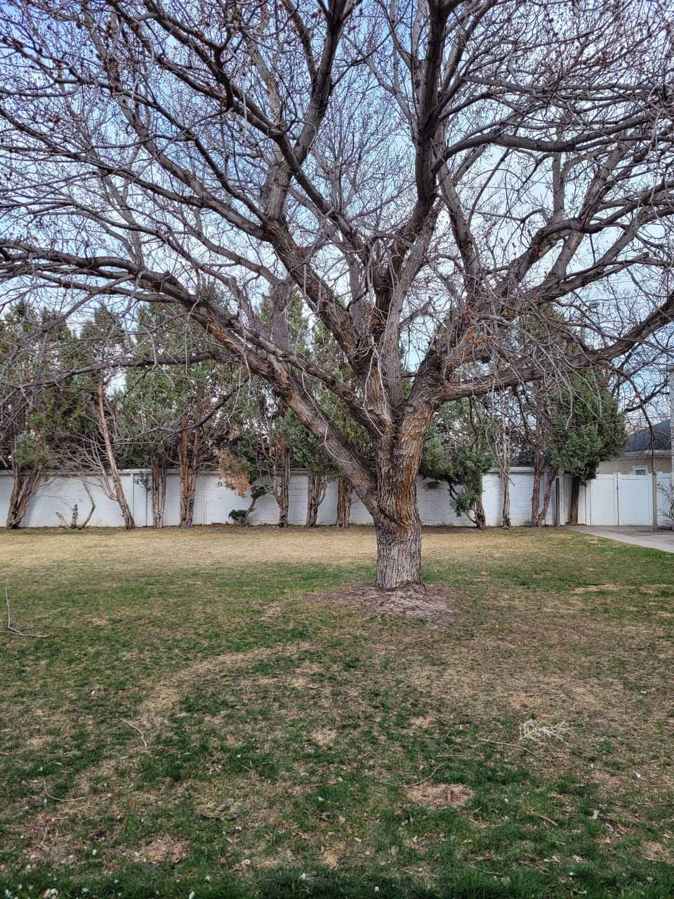 Court yard.