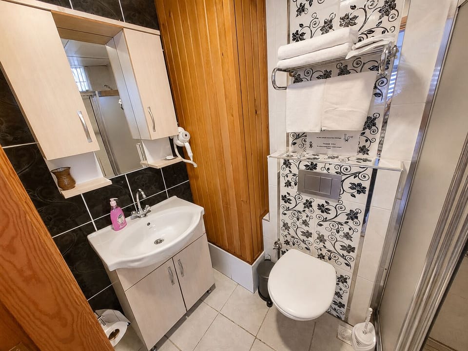 Standard Double Room | Bathroom | Shower, free toiletries, hair dryer, slippers