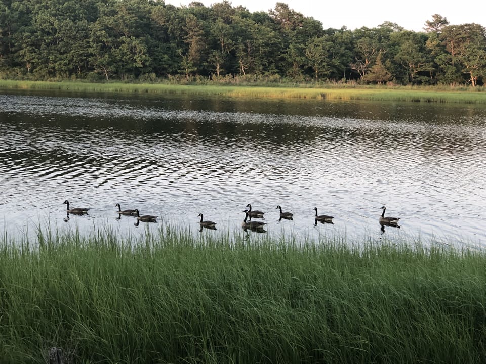 Lake