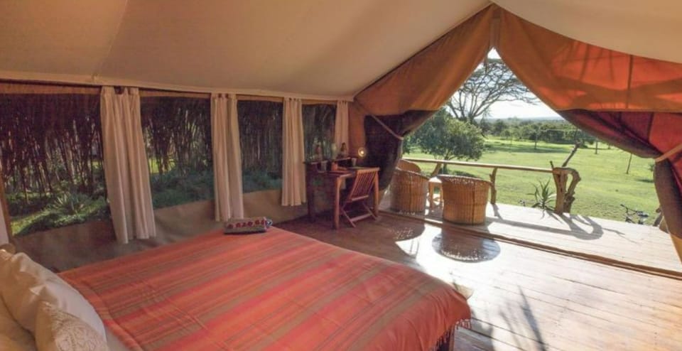 Tent | Bed sheets