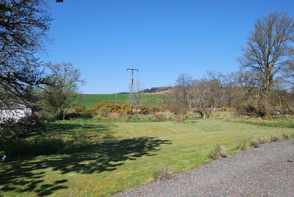 Another view of the garden