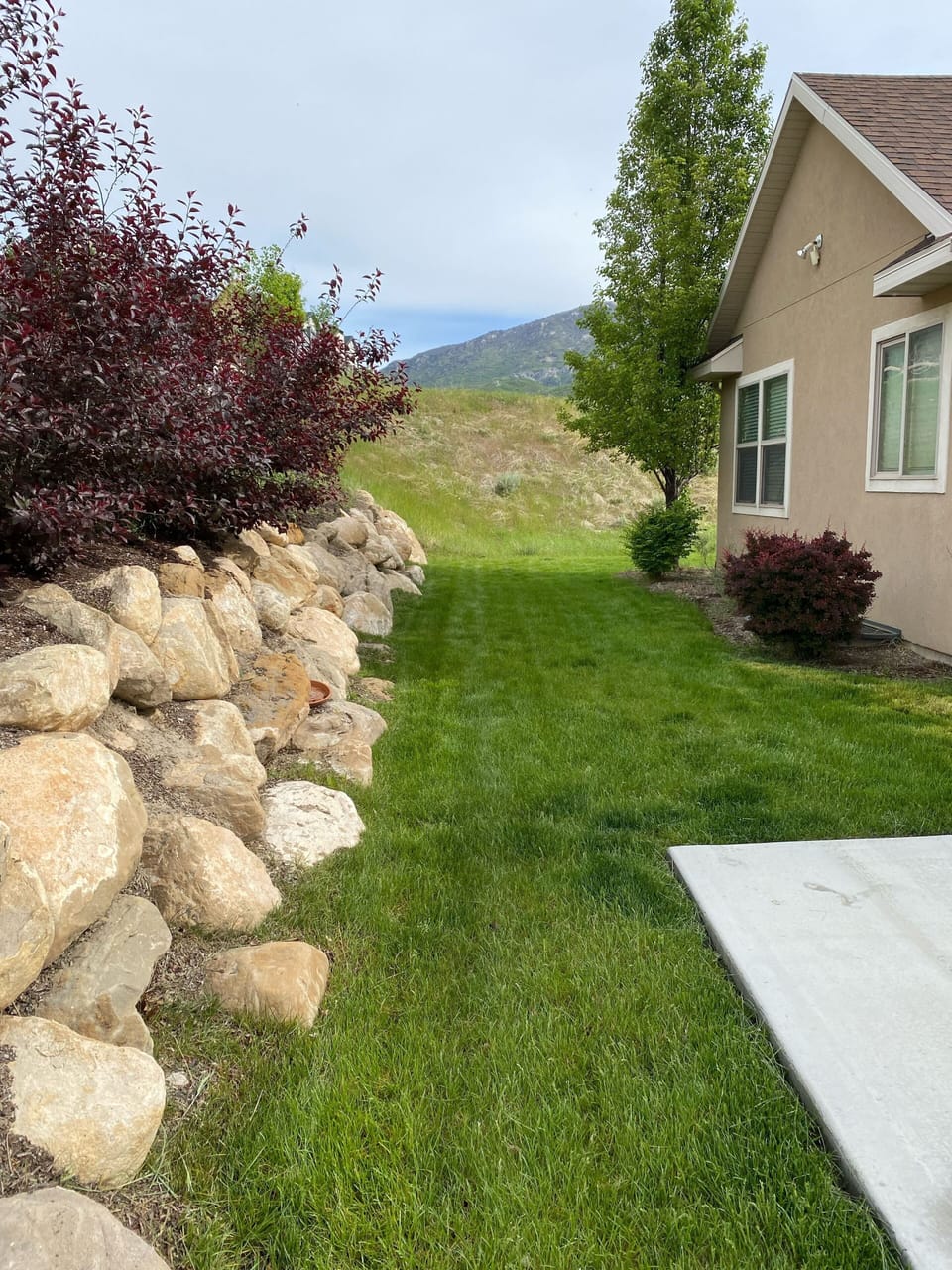 Back yard and side view 