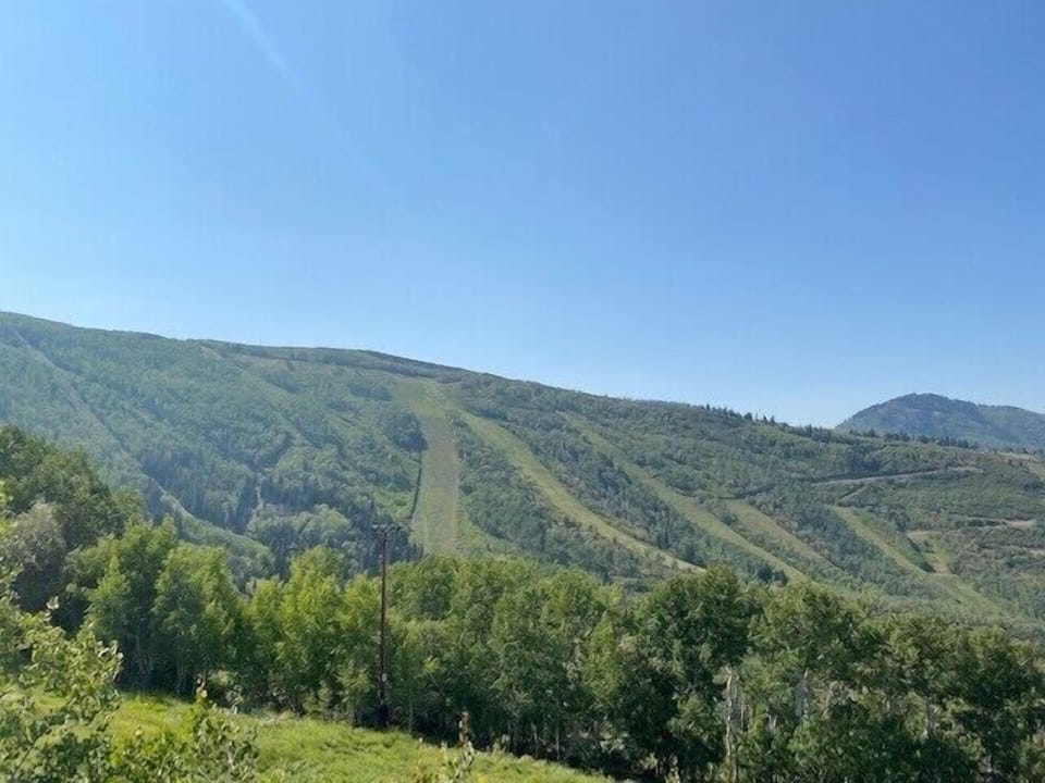 nearby ski slopes 