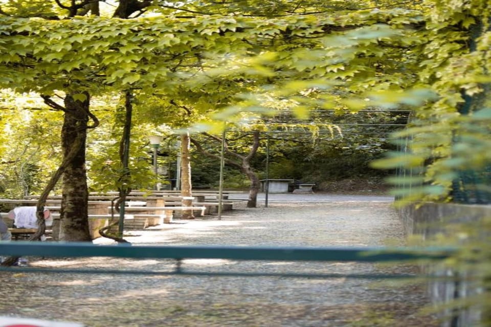 Region [summer] (>5 km)
