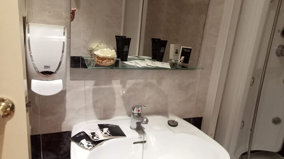 Combined shower/tub, hydromassage showerhead, hair dryer