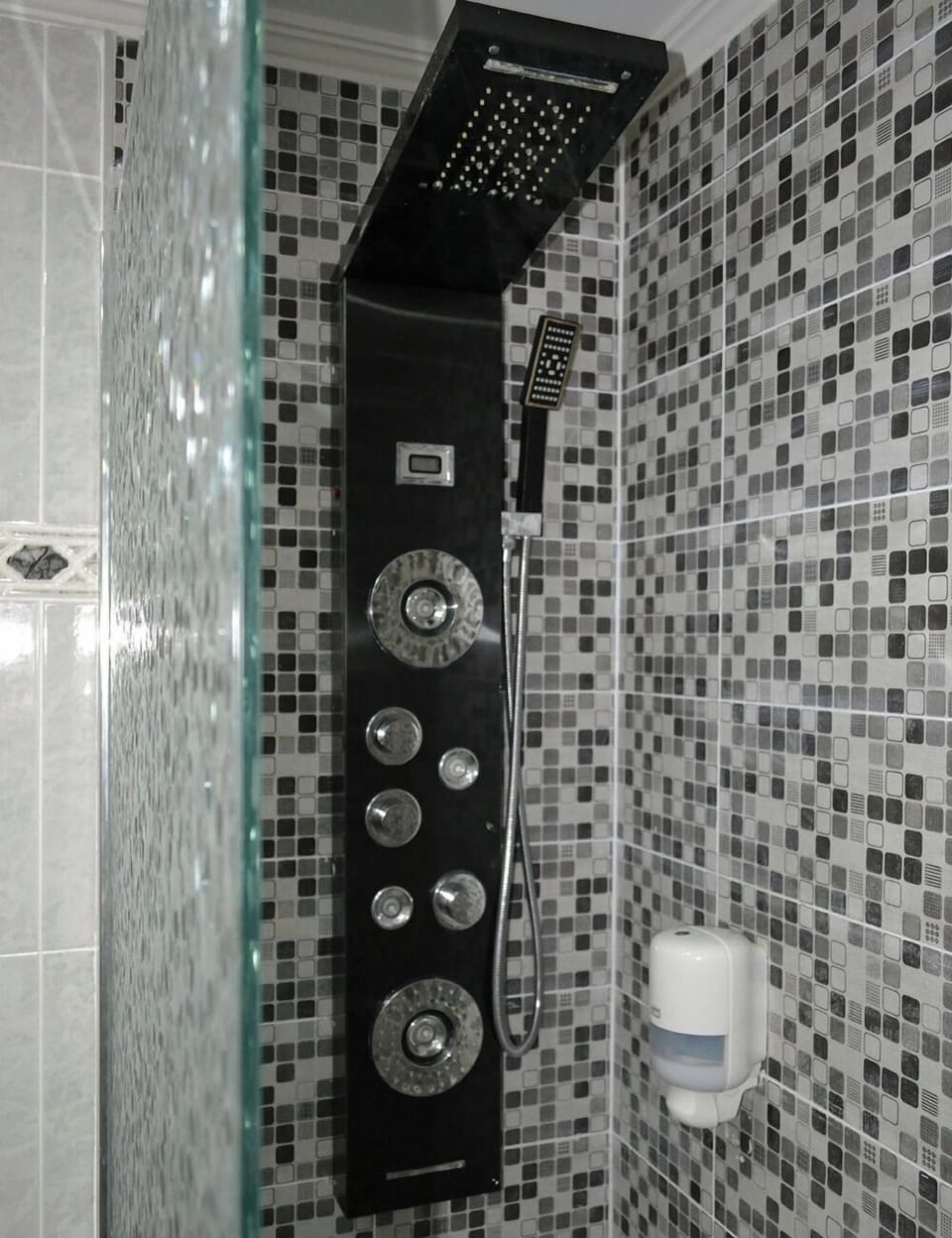 Combined shower/tub, hydromassage showerhead, hair dryer