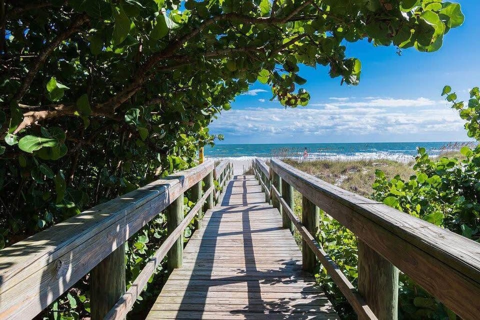 Wooden boardwalk leading to a sandy beach with ocean views framed by lush greenery