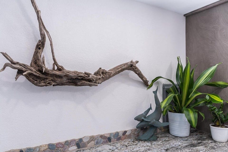 Decorative driftwood and plants add a natural touch to the modern countertop.