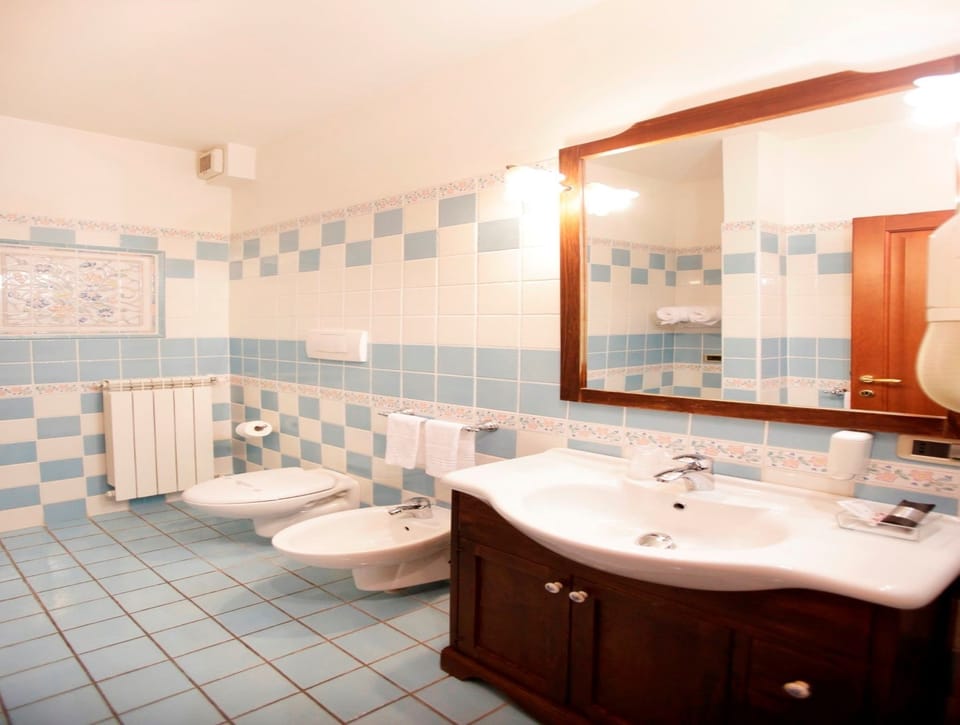 Shower, free toiletries, hair dryer, bidet