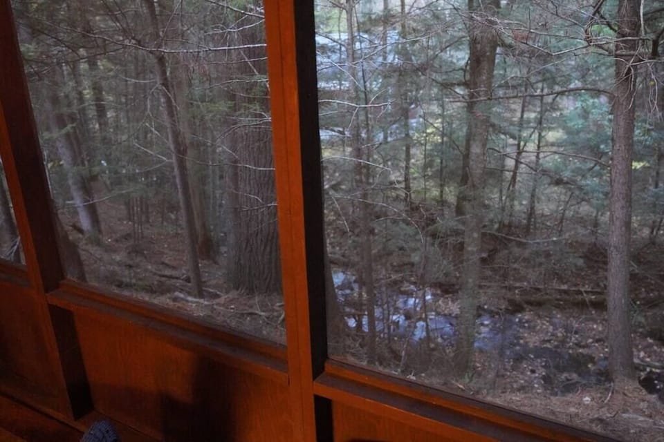 View of brook from 3 season porch