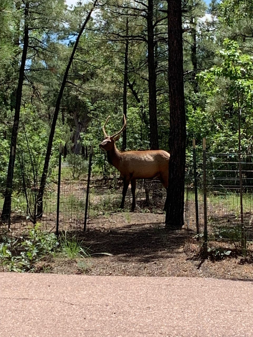 Property grounds