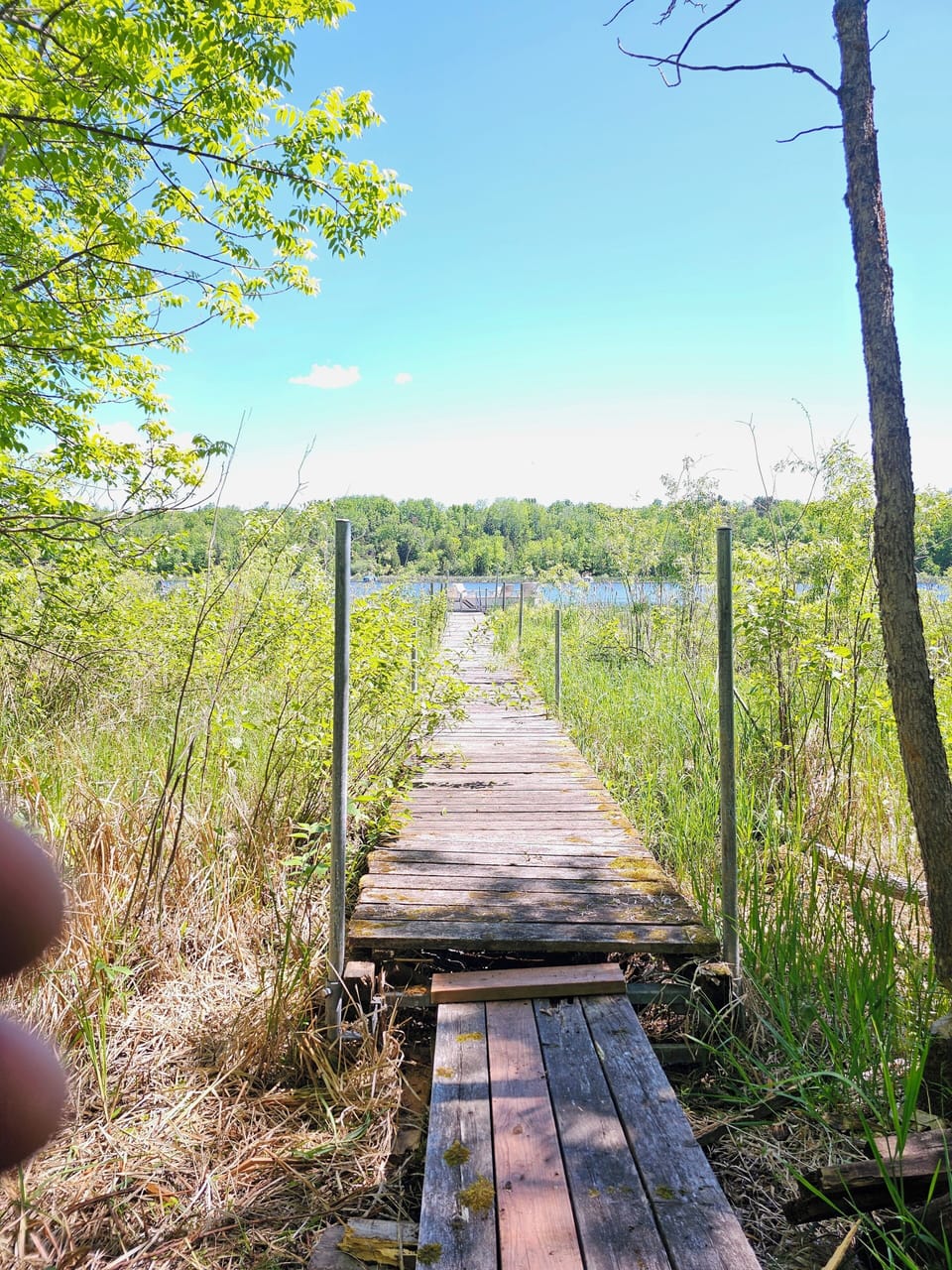 Bog walk to fishing dock