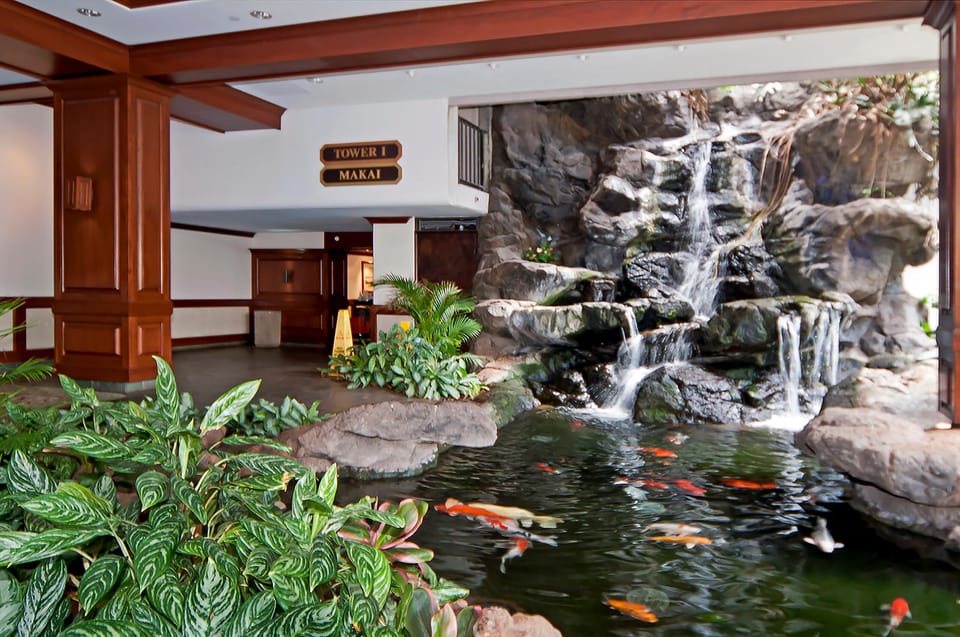Please ask to feed fish!