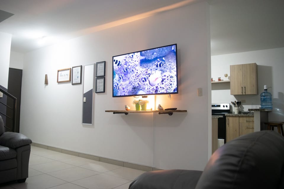TV 55 Main floor 