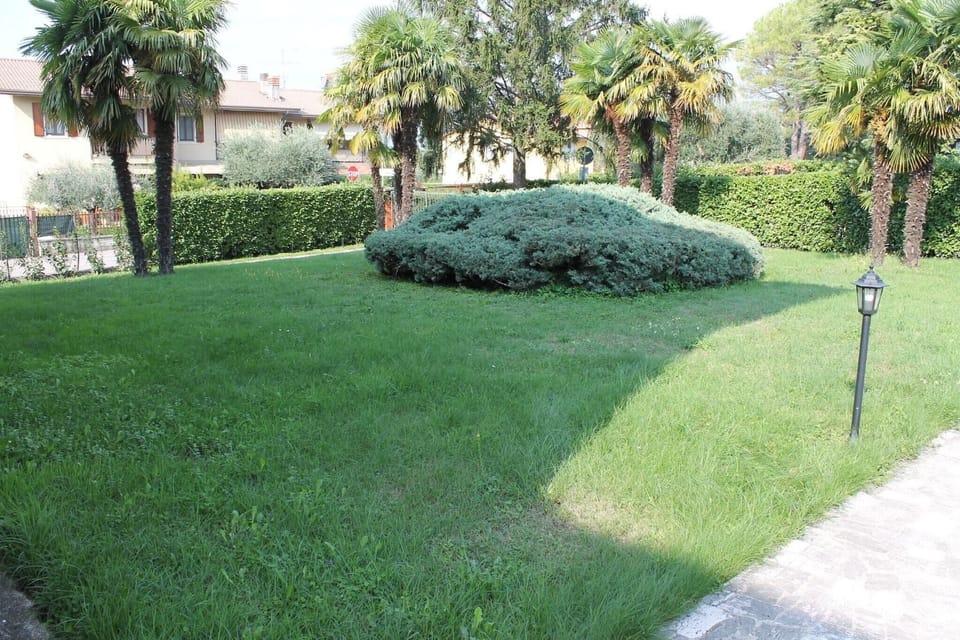 Garden [summer]