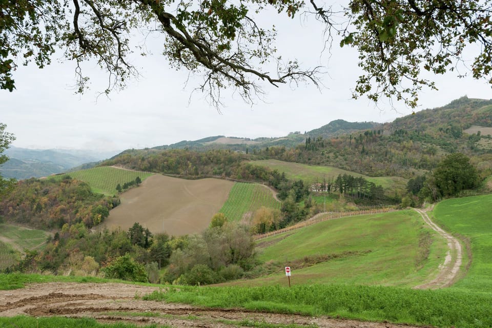 Surroundings [summer] (1-5 km)