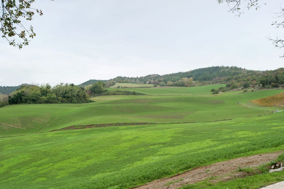 Surroundings [summer] (1-5 km)