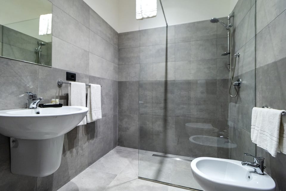 Shower, free toiletries, hair dryer, bidet