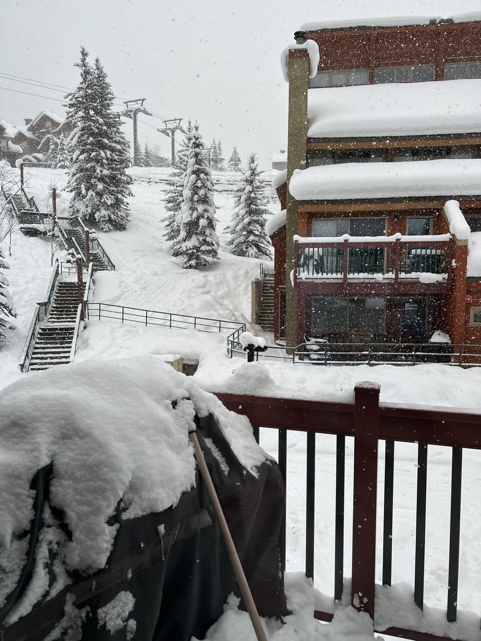 Winter snowfall, view from patio. 