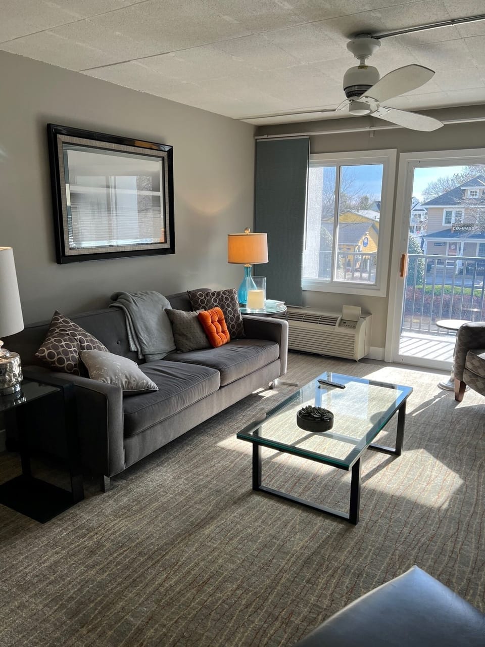Living room (pullout sofa)