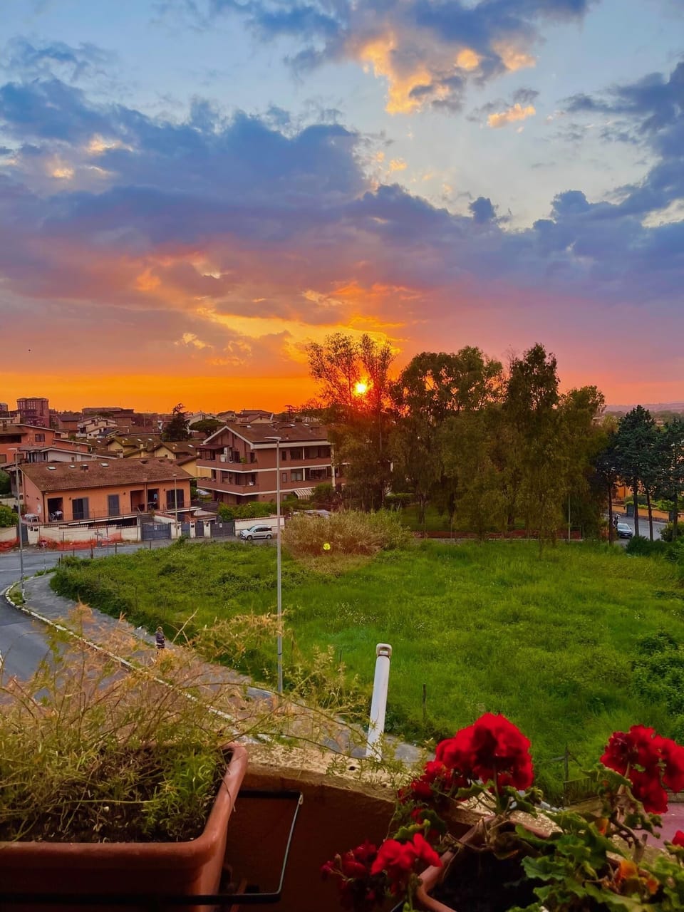 View from property