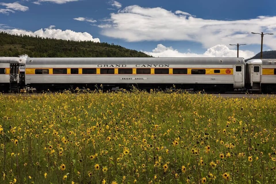 Hop aboard the Grand Canyon Railway in Williams, Arizona, near Cobalt Cabin, for a scenic journey to the awe-inspiring Grand Canyon. Relive the nostalgia as you traverse breathtaking landscapes.