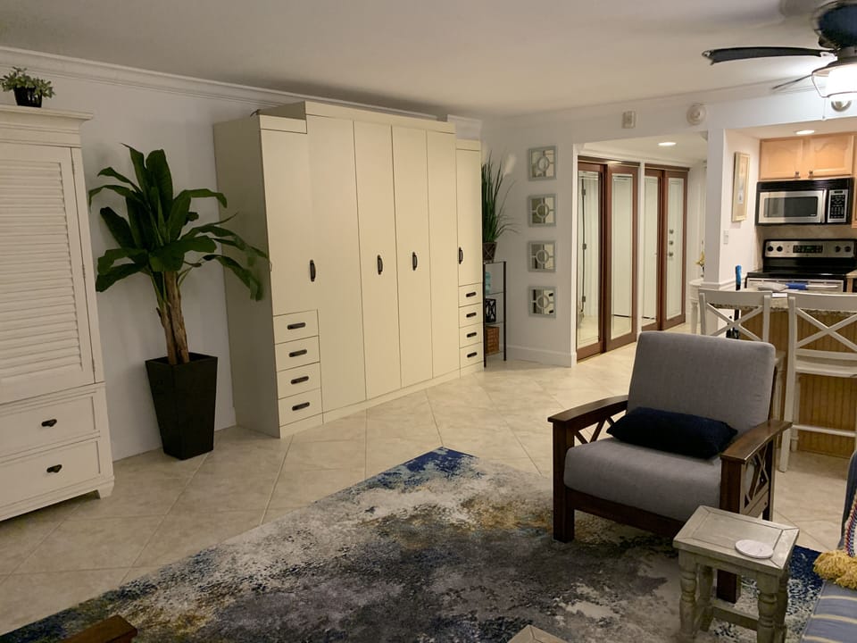 Queen Murphy bed