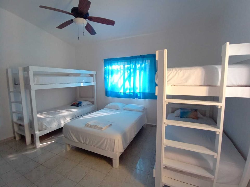 Family Room, Mixed Dorm | In-room dining