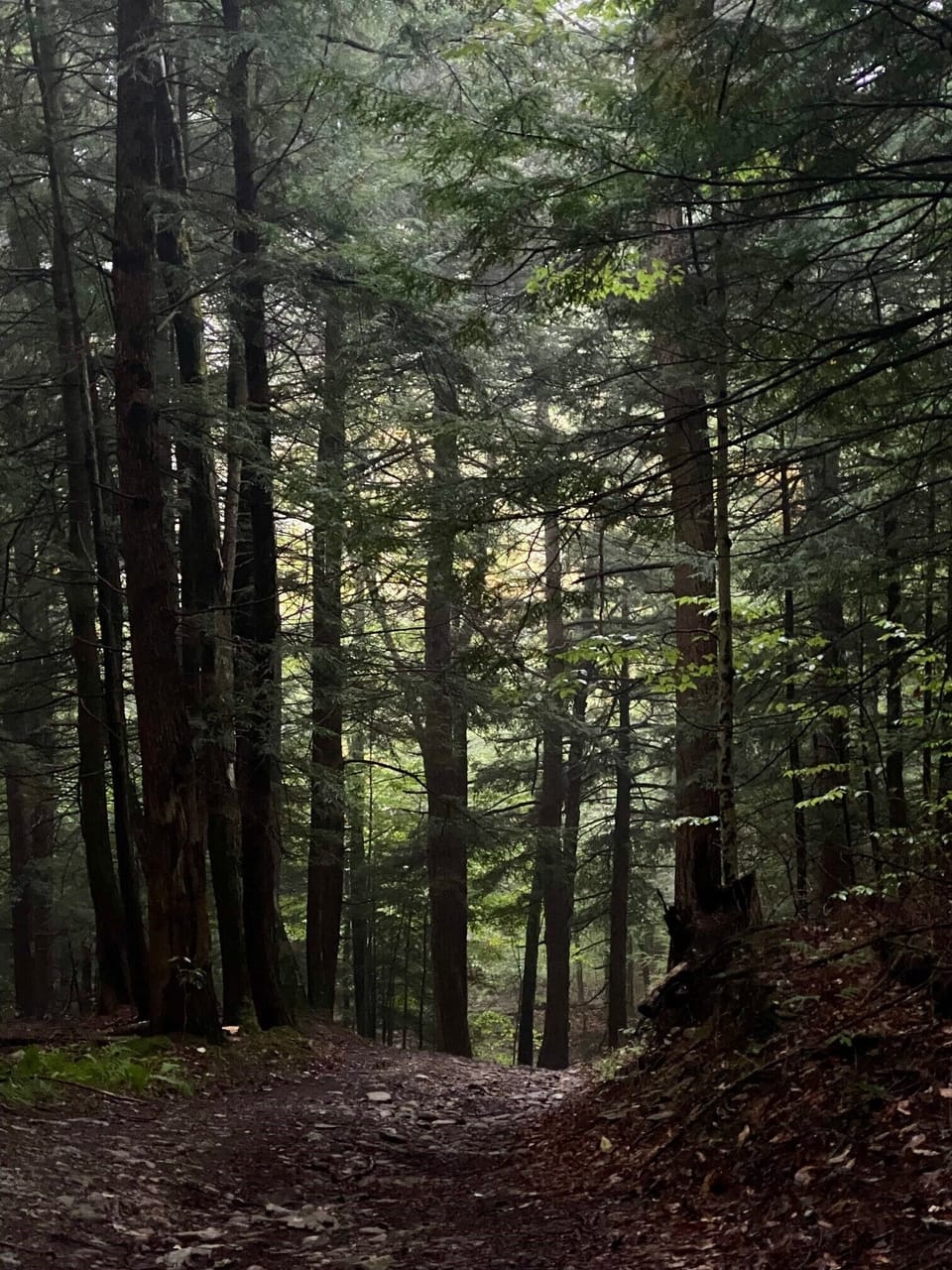 Miles of trails through fields and forests
