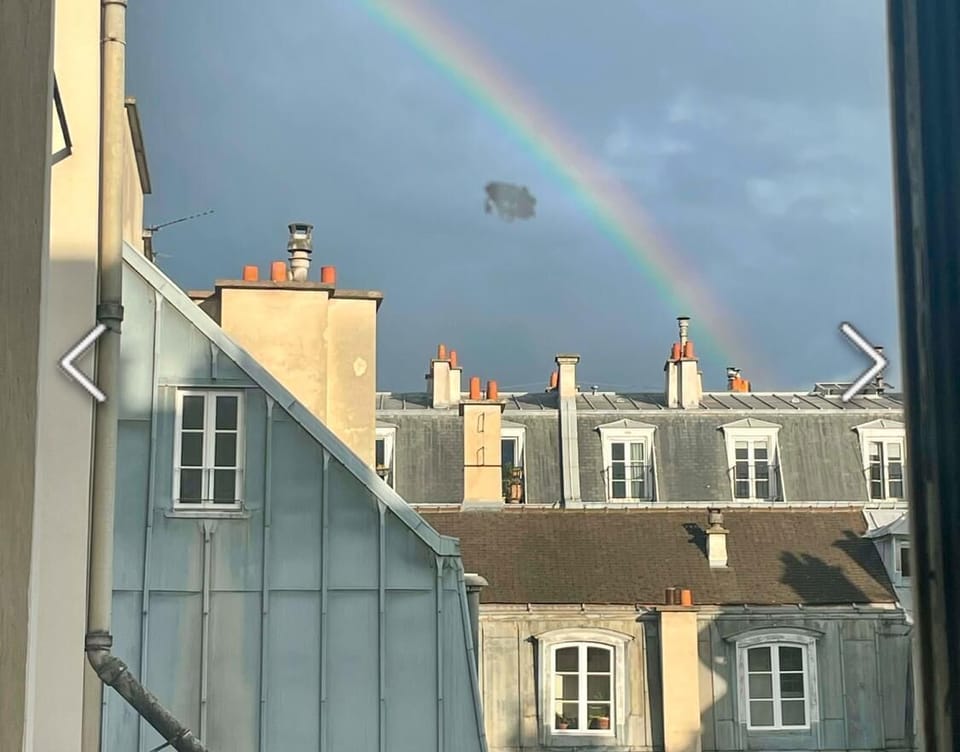 Beautiful view on Parisian rooftops