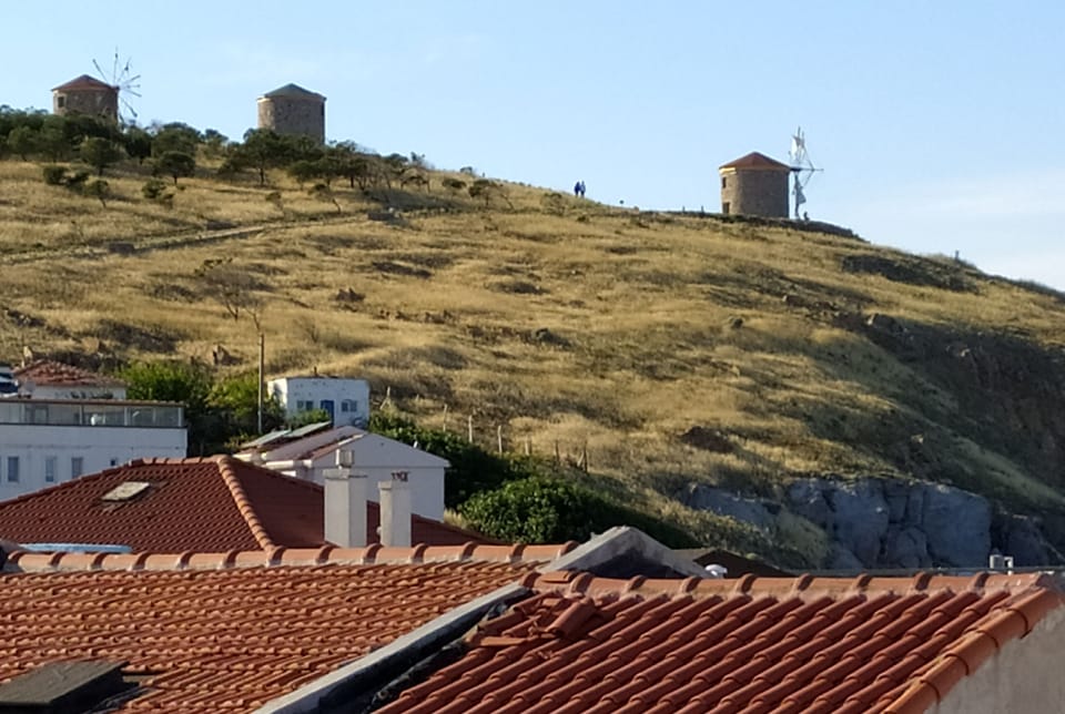 View from room