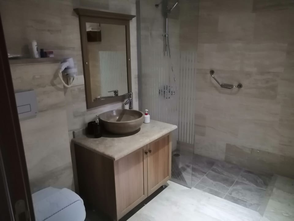 Basic Double Room | Bathroom | Shower, rainfall showerhead, free toiletries, hair dryer