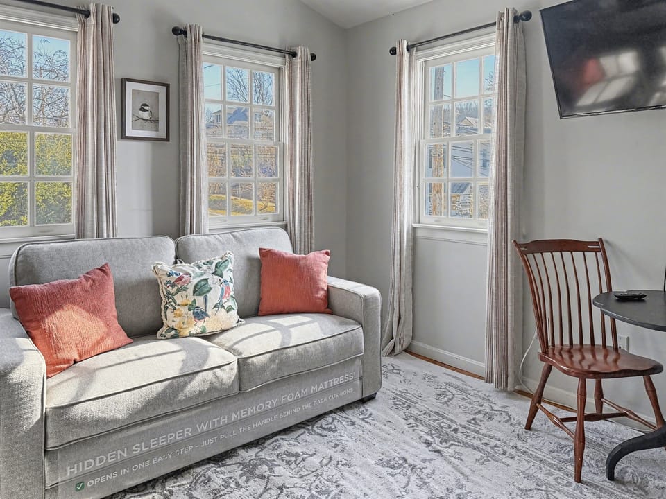 Living Room with double sleeper sofa