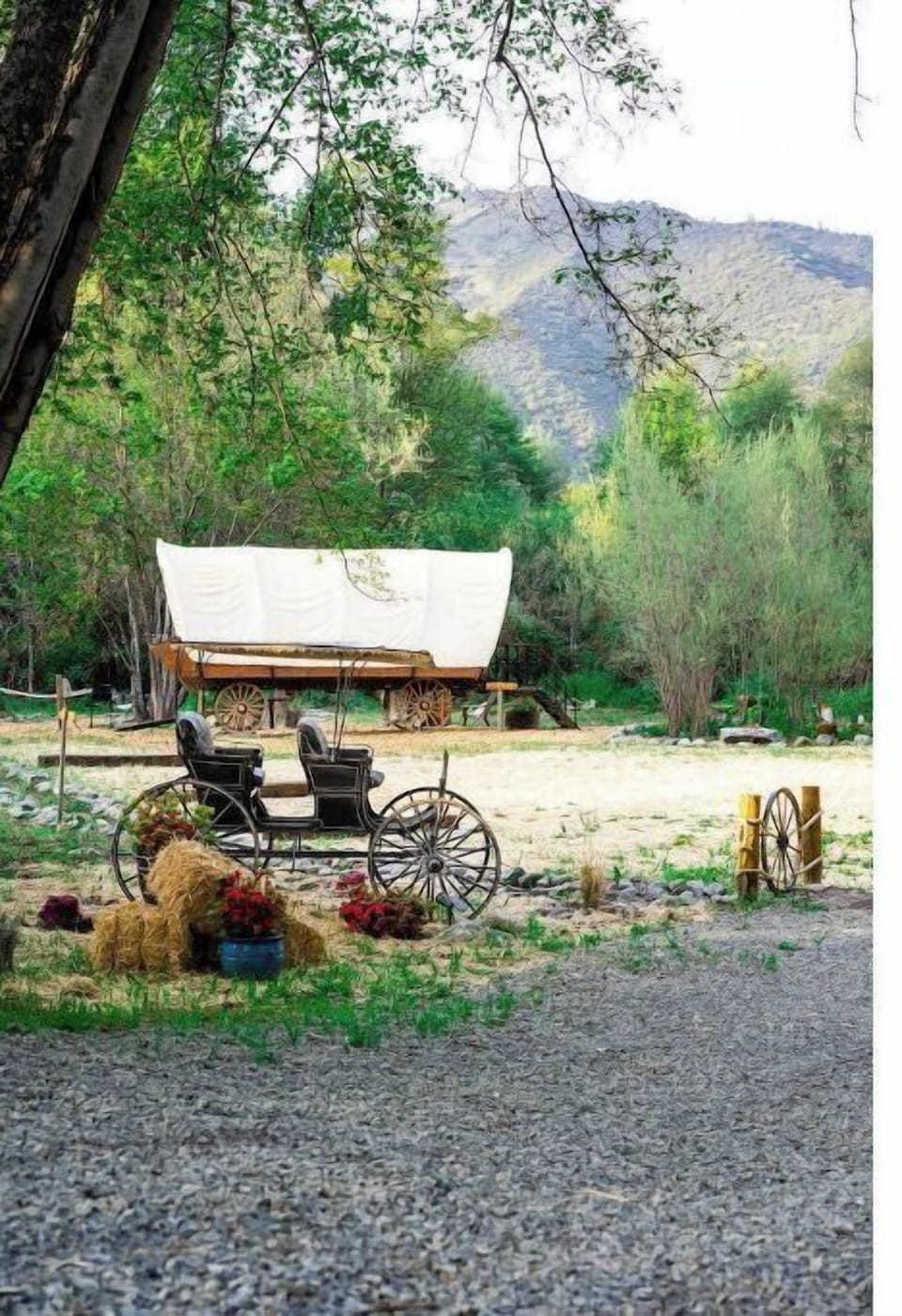 Lonestar wagon from a distance and an antique horse carriage. 