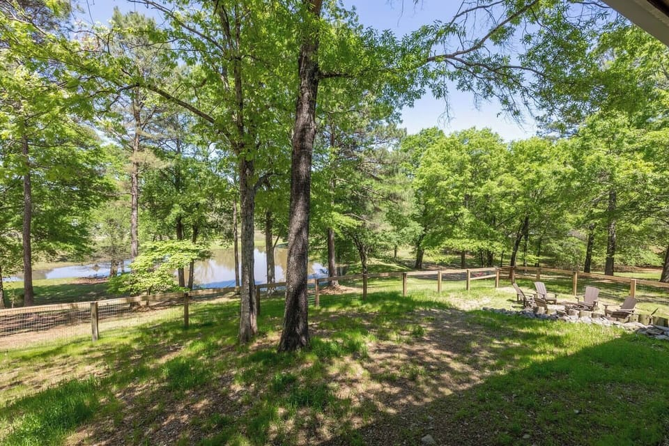 Pond