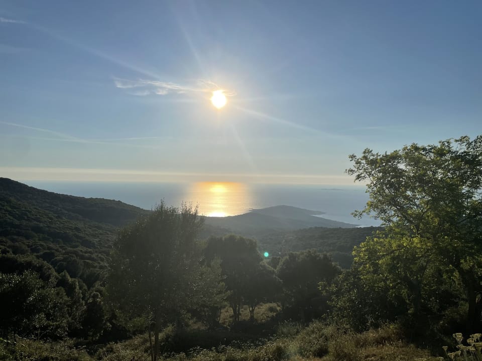 Vue de la propriété 