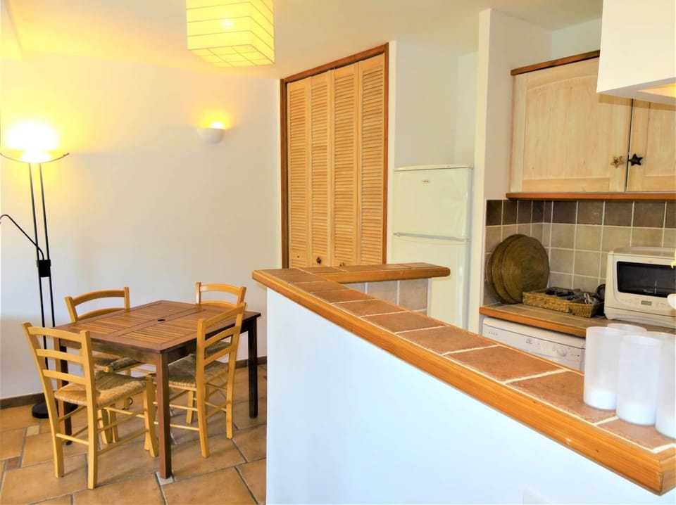 The kitchen of the apartment.