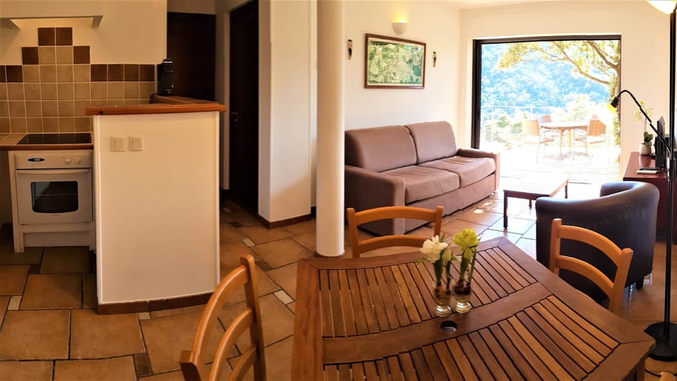 The kitchen, the living and the terrace of the apartment.