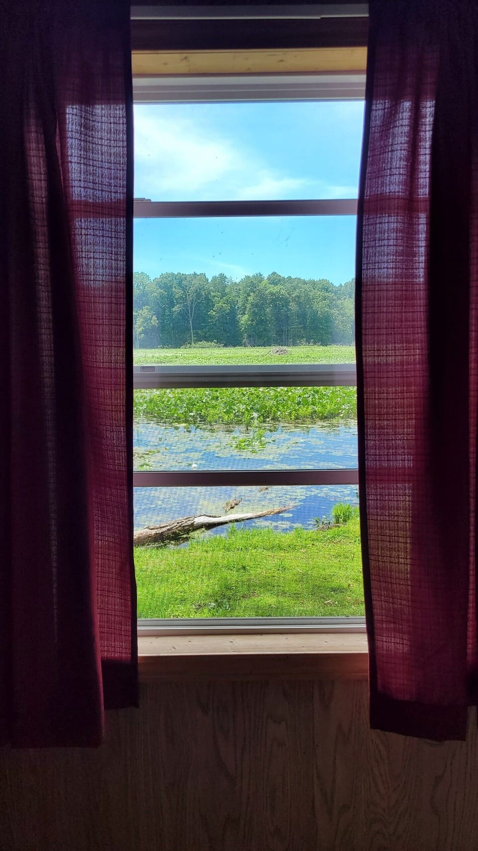 beautiful view of Miller lake & surrounding wetlands from cabin window