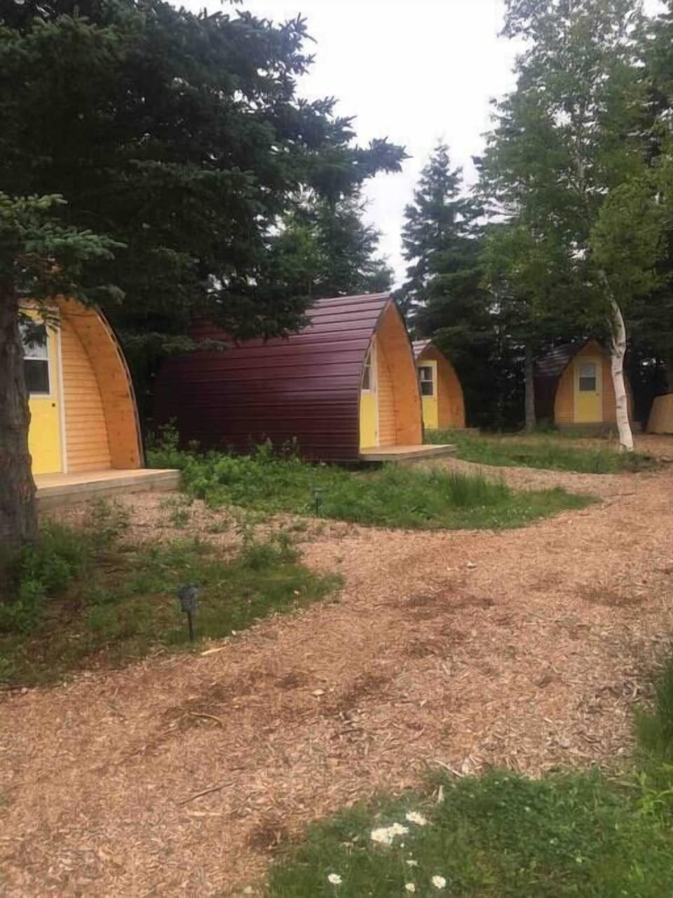 Fellow pods nearby