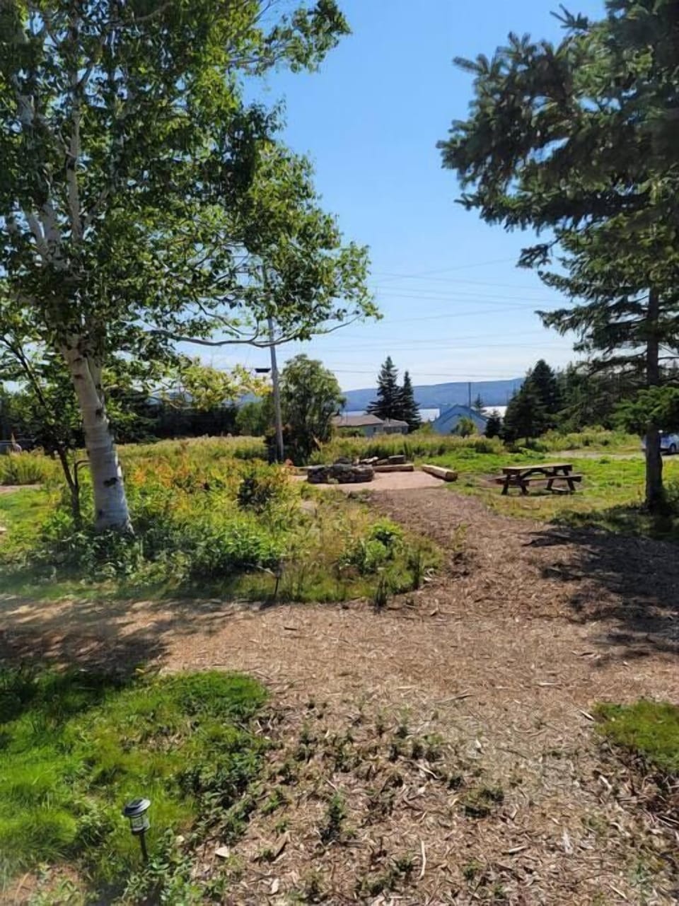 Let's go for a walk to the fire pit